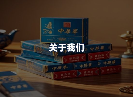 关于我们
